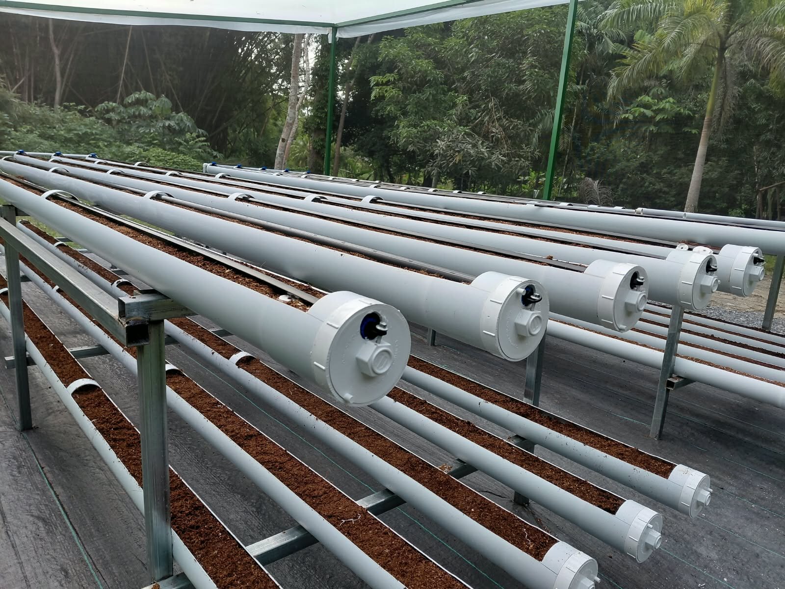 Raised growing channels under shade at the Agrivoltaics demonstration