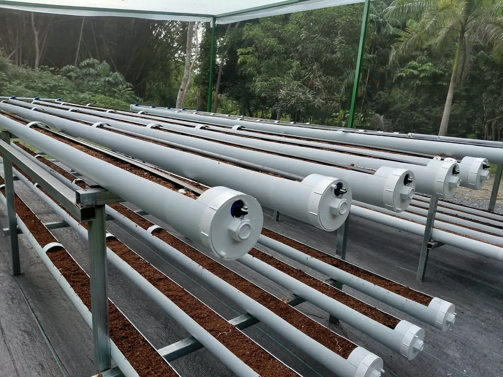 Raised growing channels under shade at the Agrivoltaics demonstration
