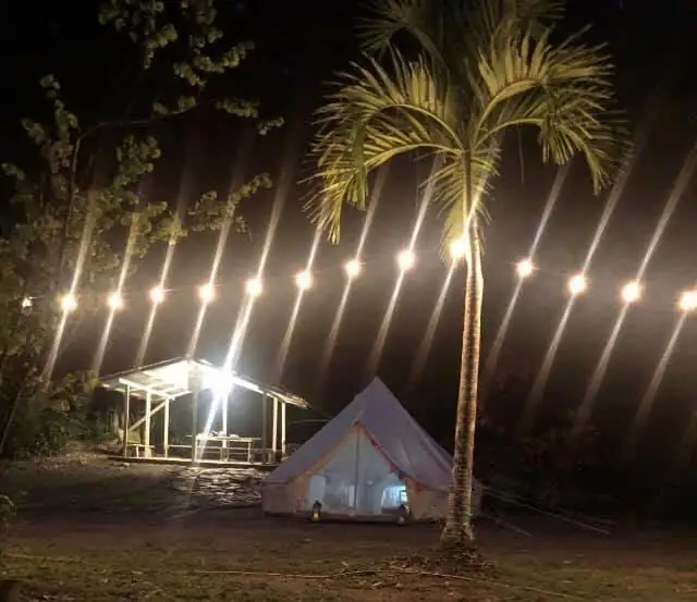 camp_night