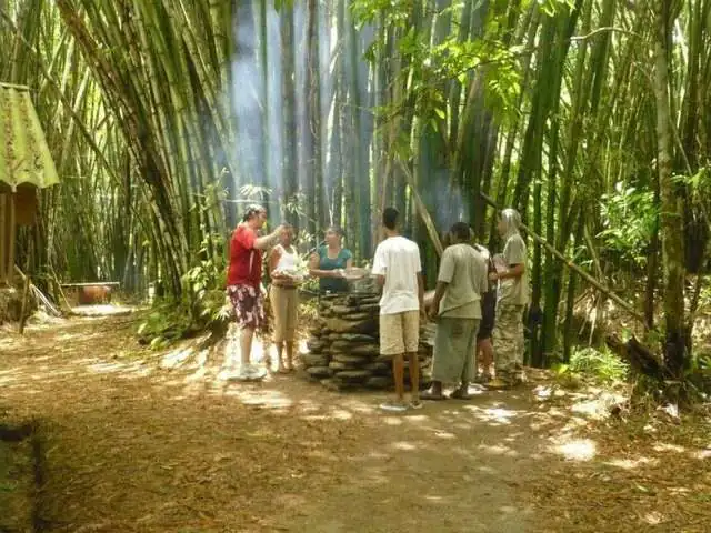 Cooking around a stone pit in the bamboo