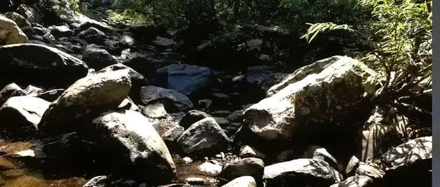 river_stones