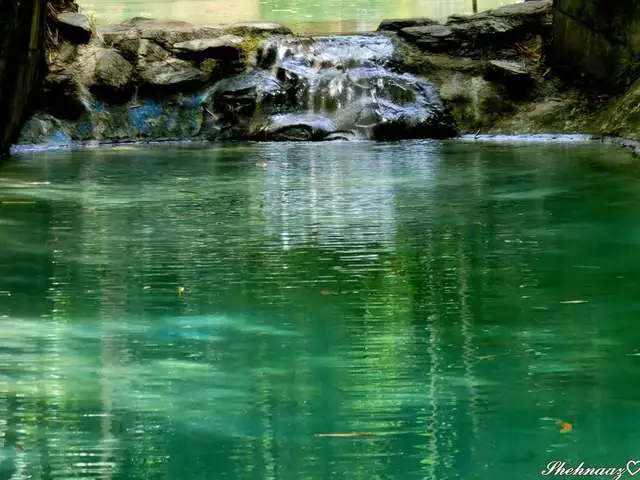 Spring water pool with a small waterfall